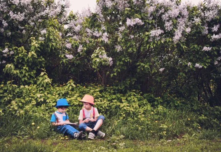 Two young boys in sun hats sitting in the grass beneath flowering lilac bushes