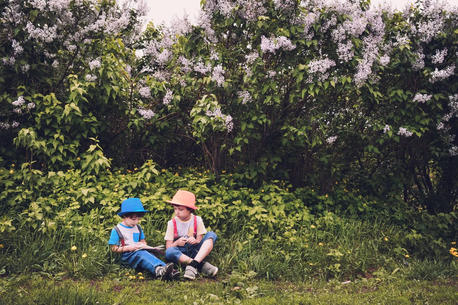 Two young boys in sun hats sitting in the grass beneath flowering lilac bushes